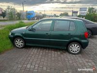 Obraz 3