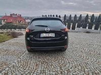 Obraz 3