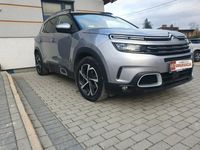 Obraz 3