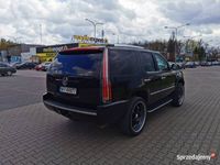 używany Cadillac Escalade 