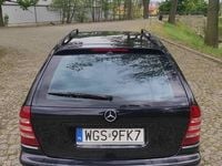 Obraz 2
