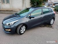 Obraz 3