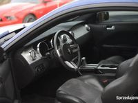 używany Ford Shelby 