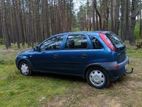 Obraz 3
