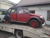 Obraz 3
