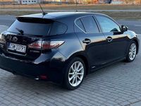 Obraz 3