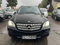 Obraz 3