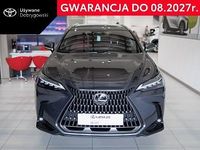 Obraz 1