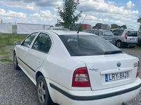 Obraz 3