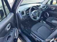 używany Jeep Renegade 2.4 I (2014-)