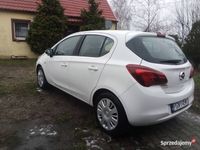 Obraz 3