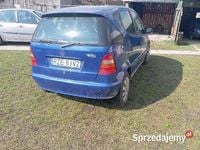 Obraz 3