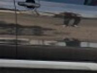 używany Suzuki SX4 S-Cross 1,6 benz, napęd 4x4, Krajowy