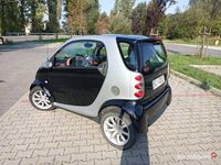 Obraz 3