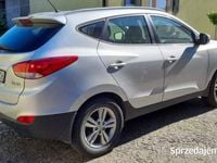 Obraz 3