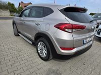 Obraz 3