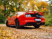 Używany Ford Mustang GT 2022 Czerwony Coupe
