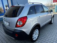 Obraz 3