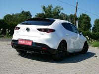Obraz 3