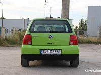 Obraz 3