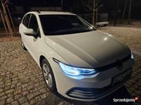 Obraz 3