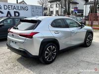 używany Lexus UX 250h