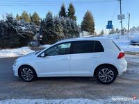 używany VW Golf VII 1.6 TDI//DSG