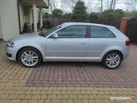 używany Audi A3 II (8P) lift TDI 2.0 170KM Alkantara, Bi-Xenon, Navi