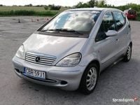 Obraz 1