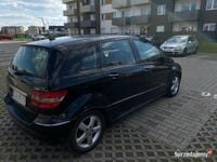 Obraz 3