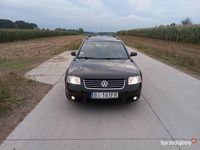 Obraz 3
