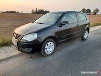 Obraz 3