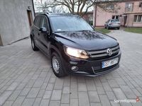 Obraz 2