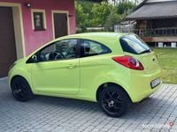 Obraz 3
