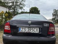 Obraz 3