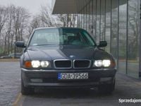 Obraz 3
