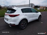 Obraz 3