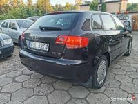 Używany Audi A3 140 KM (102 kW) 2005 Hatchback
