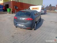 Obraz 3
