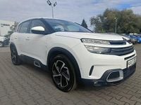 Obraz 1