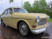 używany Volvo Amazon Amazon - na dwoch gaznikach- na dwoch gaznikach