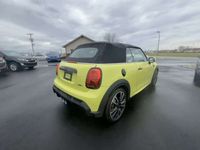 używany Mini Cooper Cabriolet 