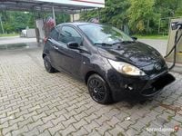 Obraz 3