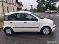 Obraz 3