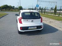 używany Kia Picanto 