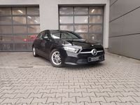 Obraz 1