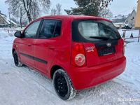 używany Kia Picanto 2009 rok