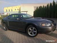 używany Ford Mustang GT 4.6 v8. Super stan