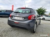 Obraz 1