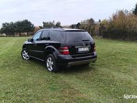 Obraz 2